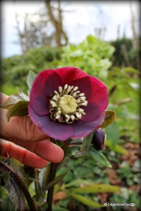 Jolie découverte au jardin...