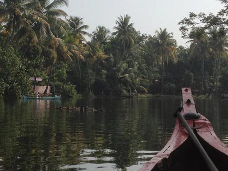 Autre lagune, autres canaux : les backwaters au Kerala