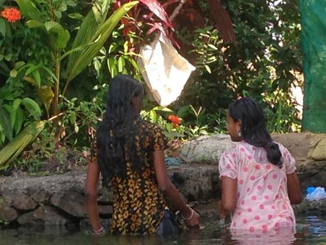Autre lagune, autres canaux : les backwaters au Kerala