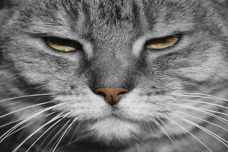 Le Poids du Monde Entier sur de Si Frèles Épaules