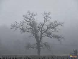 BROUILLARD DE LA GUERRE ET DANGER DE LA CENTRALISATION