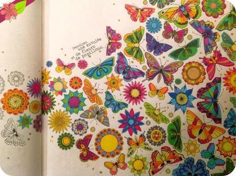 Jardin secret, Carnet de coloriage & chasse au trésor antistress de Johanna Basford Jardin secret, Carnet de coloriage & chasse au trésor antistress de Johanna Basford