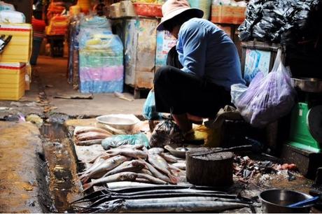 Kampot (Jour 5, 15 février 2014)