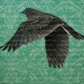 arpi-fly-away-murale street art urban graffiti