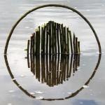 Auto-portraits sous-marins par Noriko Yabu Les idées sauvages de Ludovic Fesson