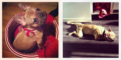 UNE VIE SOUS INSTAGRAM # 18