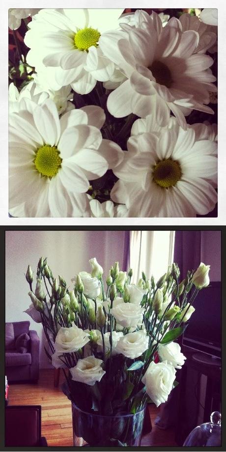 UNE VIE SOUS INSTAGRAM # 18