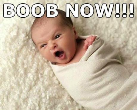 funny-angry-baby-kid-shouting-boob-now-pics