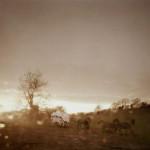 PHOTO : “And Then …”