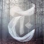 PHOTO : “And Then …”