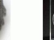 Réfectoire Cordeliers "Les insolites" MAURO CORDA- derniers jours- galerie OPERA GALLERY