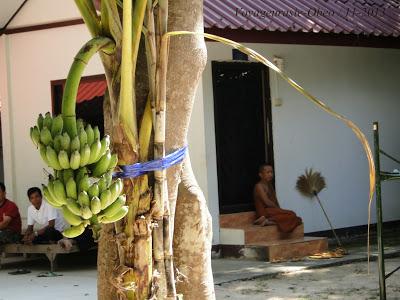 Thaïlande:  Un dimanche au wat (photos au hazard)
