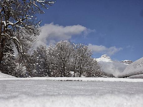 Neige et ciel bleu