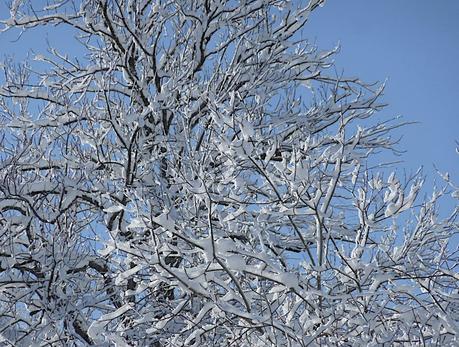 Neige et ciel bleu