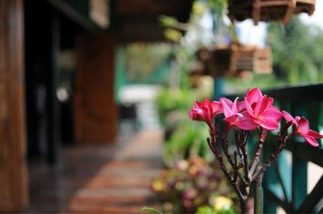 Still chillin' à Kampot (Jour 6, 16 février 2014)