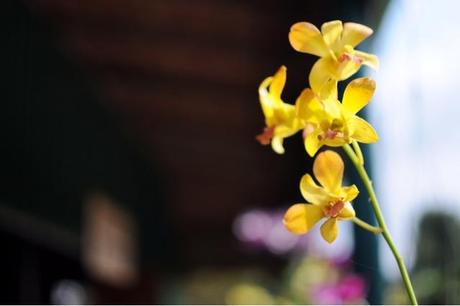 Still chillin' à Kampot (Jour 6, 16 février 2014)