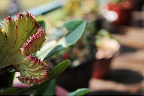 Still chillin' à Kampot (Jour 6, 16 février 2014)