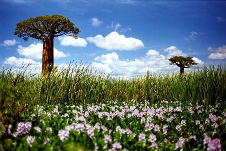 La photographie du jour
