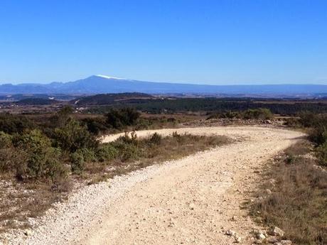 Direct de promenade...