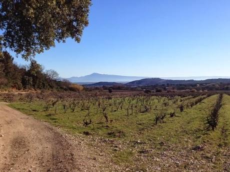 Direct de promenade...