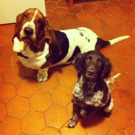 Le Samedi c'est Instagram Party!