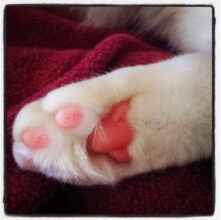 Un peu de moi sur Instagram ... Ma semaine en photos ! Part XXIX