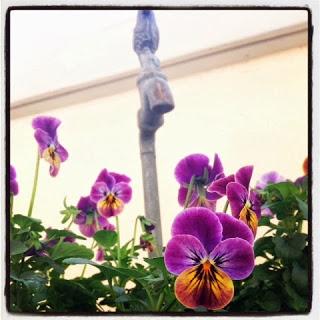 Un peu de moi sur Instagram ... Ma semaine en photos ! Part XXIX