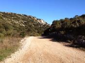 Entorse règlement cheville)