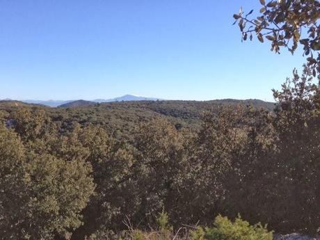 Entorse au règlement (et à la cheville)