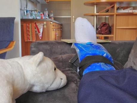 Entorse au règlement (et à la cheville)