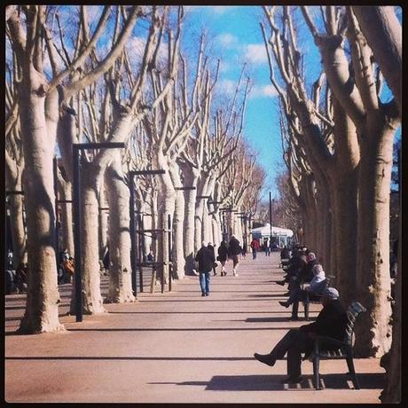 Narbonne, samedi 22 février sur les Barques .