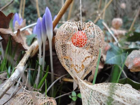 quand c'est l'autome que le printemps chasse