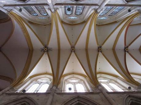 Le nez en l'air dans la cahtédrale