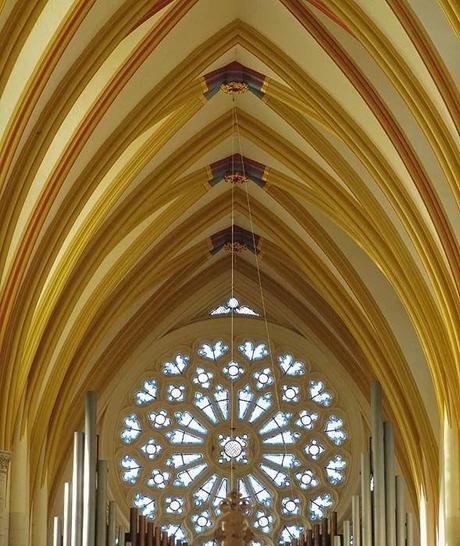 Le nez en l'air dans la cahtédrale