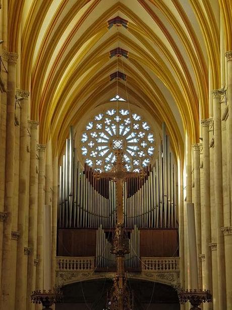 Le nez en l'air dans la cahtédrale