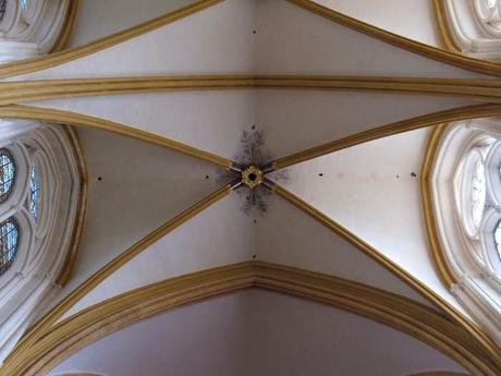 Le nez en l'air dans la cahtédrale