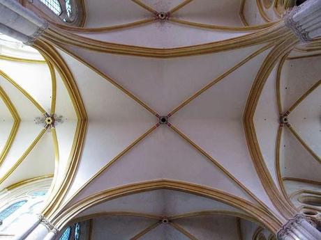 Le nez en l'air dans la cahtédrale