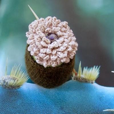 CACTUS CROCHET 123 PARIS