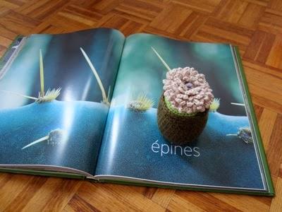 LIVRE CACTUS CROCHET