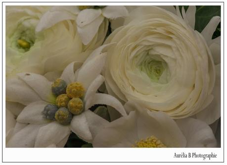 Mariage en hiver : Florence & Jean-Philippe