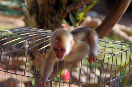 L'improbable Vang Vieng