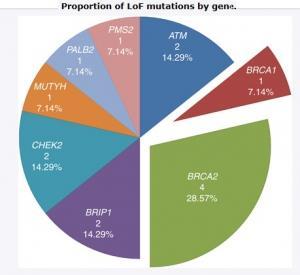 CANCER de la PROSTATE: 13 mutations identifiées pour un nouveau test génétique – British Journal of Cancer