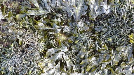 Avant-goût de vacances P1050760