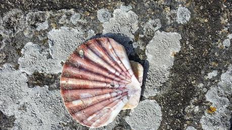 Avant-goût de vacances IMG_20140223_121446