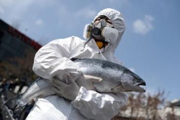 Fukushima : vers une contamination planétaire ?
