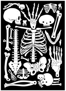 AK-LH - Crazy Bones Torchon - Tea towel