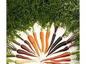 carottes pour chaud lapin