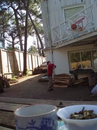 Je suis une urbaine qui a besoin de nature