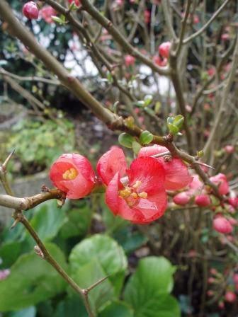 Je suis une urbaine qui a besoin de nature