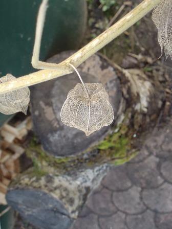 Je suis une urbaine qui a besoin de nature